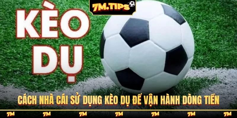 Cách nhà cái sử dụng kèo dụ để vận hành dòng tiền
